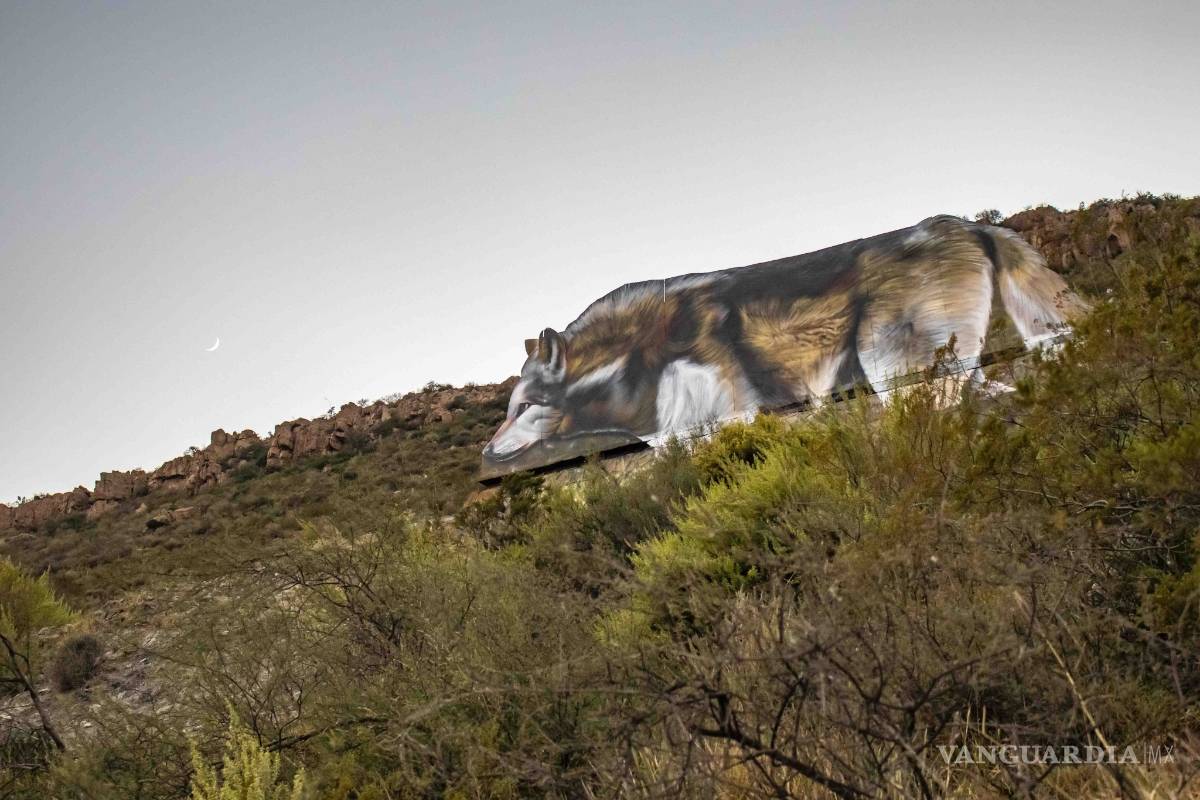 Tripulaczión pinta la naturaleza en el Cerro del Pueblo