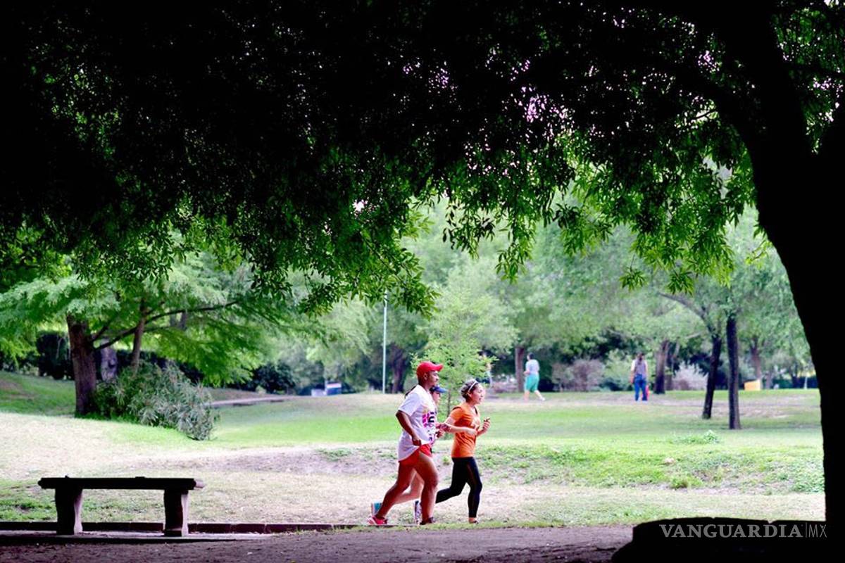 Abren las puertas del Xochipilli I nuevamente