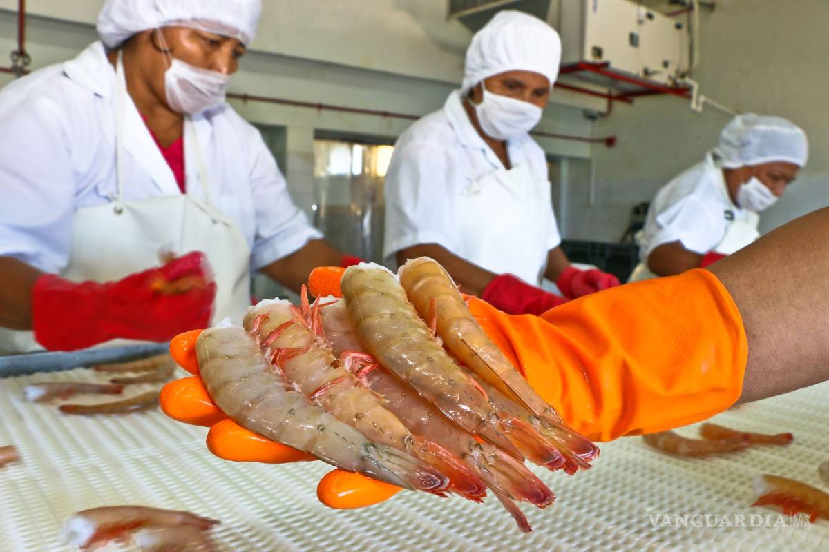 Aumenta más del 17 por ciento al tercer trimestre de este año superávit agroalimentario