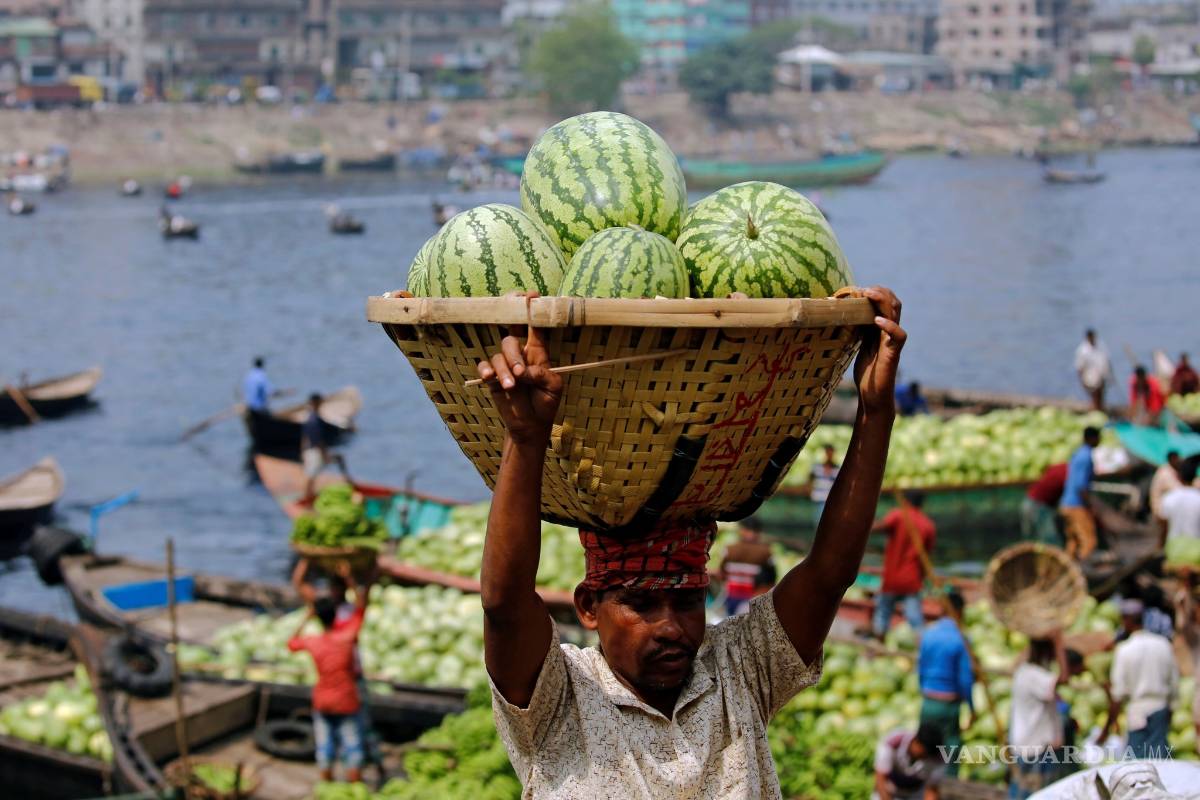 $!El futuro de la agricultura está entre los robots y la biotecnología