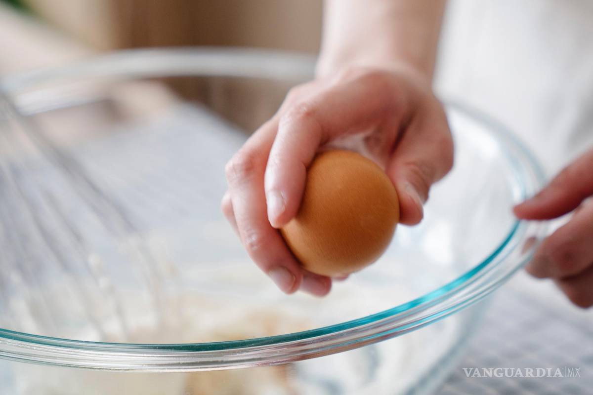¿Qué fue antes, el huevo o la gallina? desarrollan en Finlandia clara de huevo sin sin necesidad de aves de corral