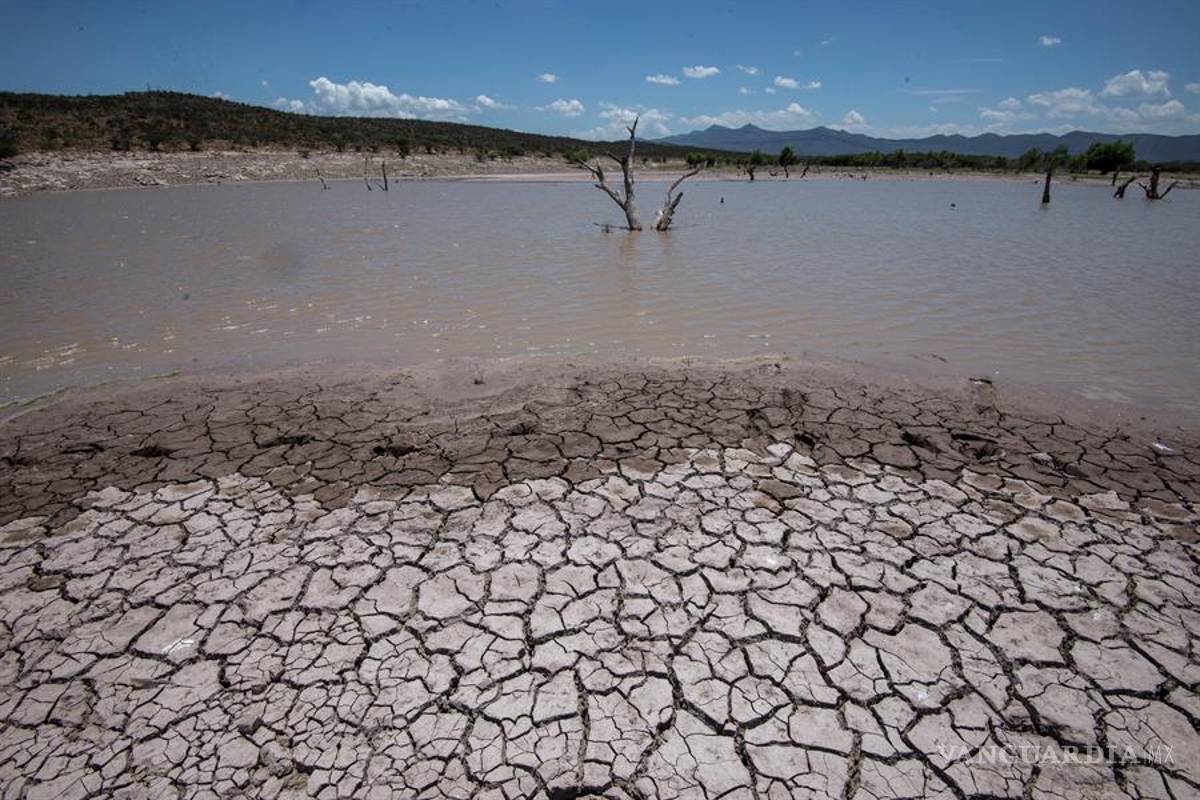 Sequía en México es culpa del fenómeno de la celda de Hadley