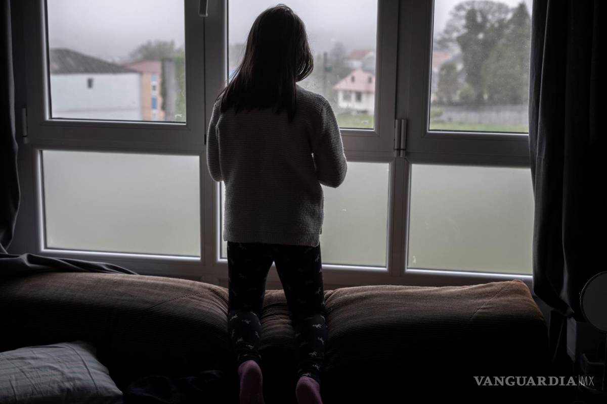 $!Descubrimientos clínicos, moleculares y genéticos revelan funciones importantes de la homeostasis del zinc en relación con la “depresión clínica y la psicosis”