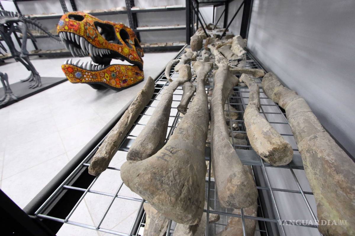 $!Museo del Desierto de Saltillo acerca a la gente a sus investigadores para que aprecien su trabajo en laboratorio