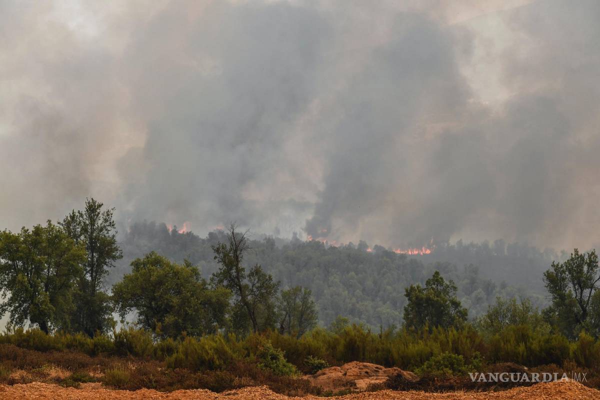 $!Los árboles se queman durante un incendio forestal causado por las temperaturas extremas en Larache, en el norte de Marruecos.
