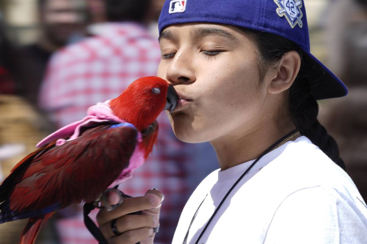 $!De acuerdo con los investigadores, no todos los virus llegarán a los humanos ni se convertirán en pandemias de la magnitud de la del coronavirus.