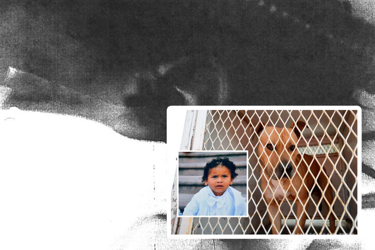 PGJE filtra información del caso Iker y no hay investigación contra el perro; Raúl Julia sospecha de corrupción