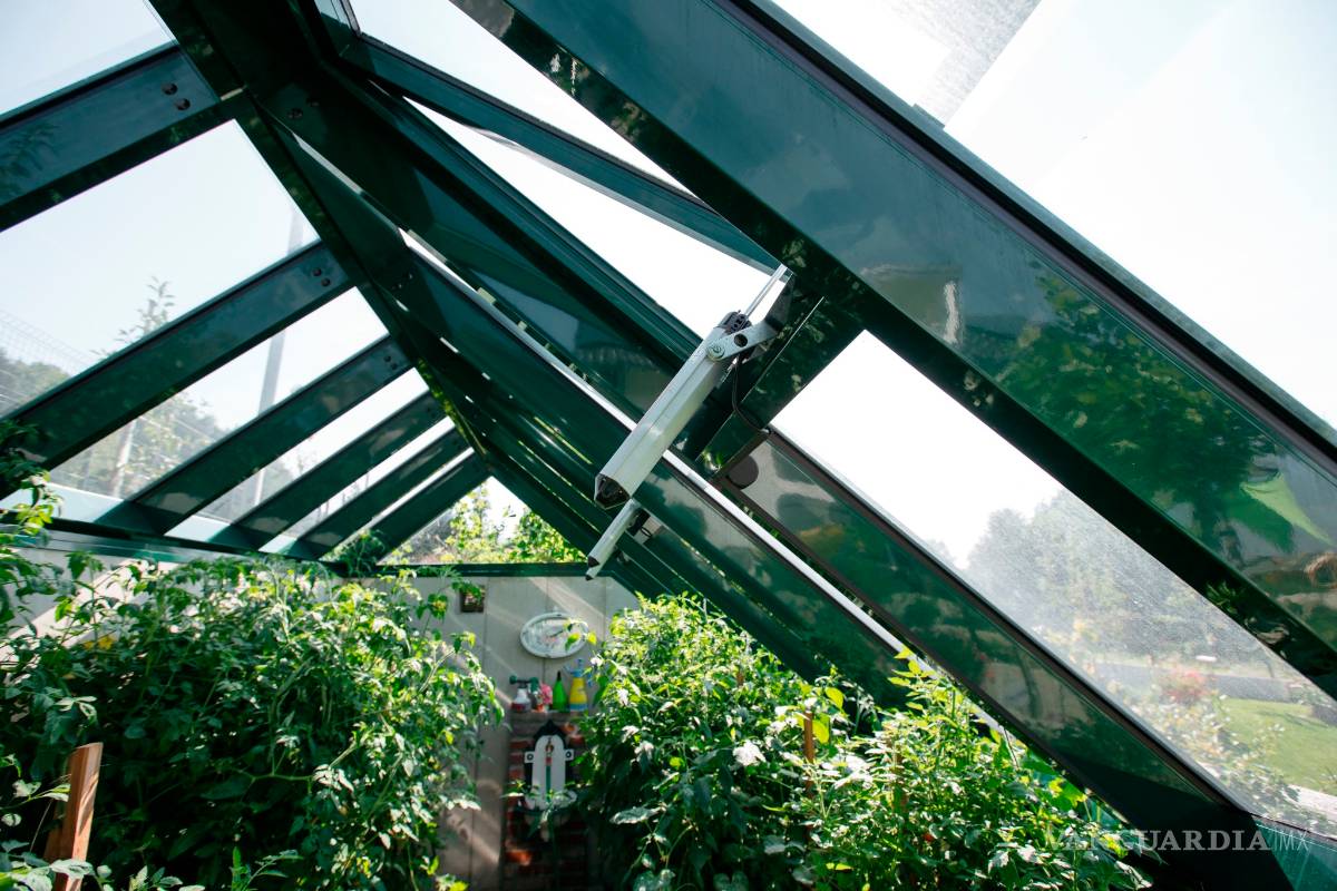 $!Mantener un jardín puede ser un trabajo tedioso, en el futuro su cuidad será totalmente automático