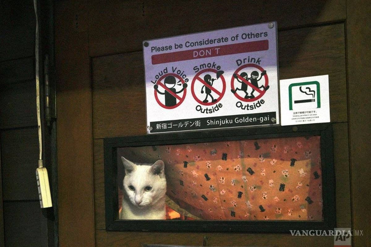 Jugo Naranja: ¿El coronavirus está controlado?