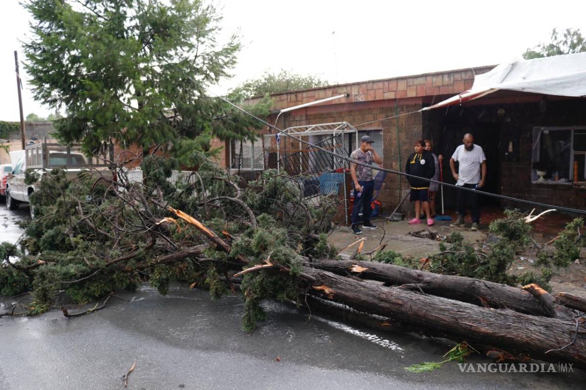 Hubo 38 reportes de inundaciones en colonias de Saltillo tras tromba