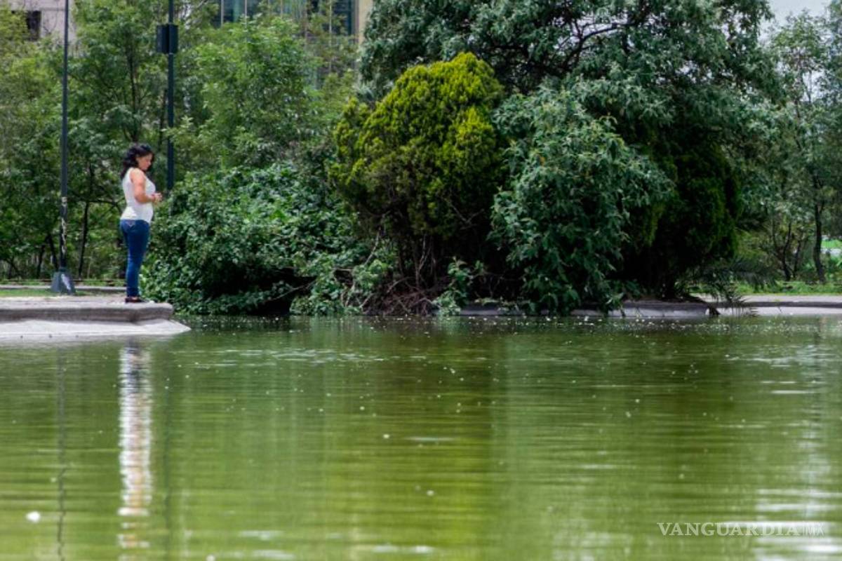 Sobrevivió a 7 años como esclava sexual de Los Zetas y Cártel del Golfo, la historia de Daniela