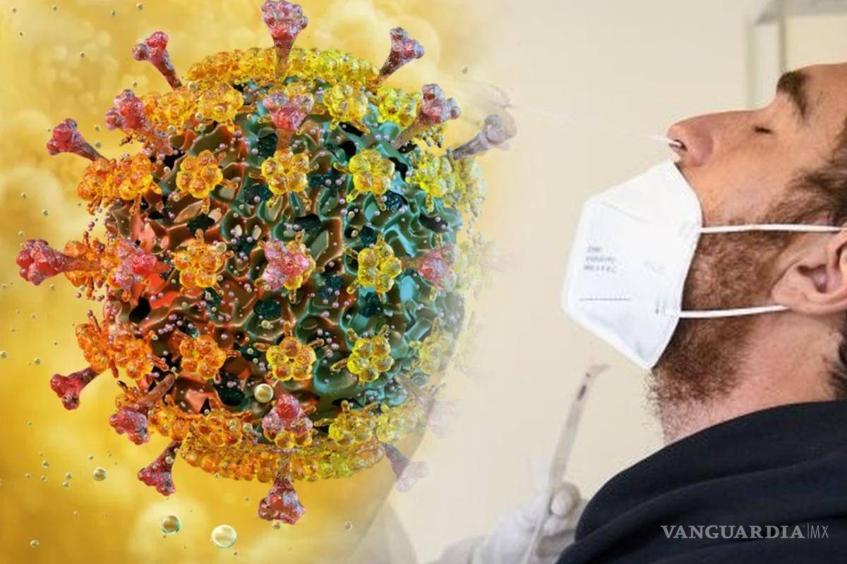 ¿Cómo saber si tengo gripe H3N2 tipo K?... esta es la prueba para detectarla