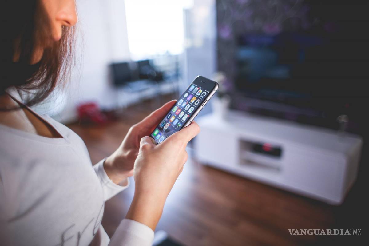 $!Nuestros hogares, cada vez más conectados a la Red. EFE/Bitdefender