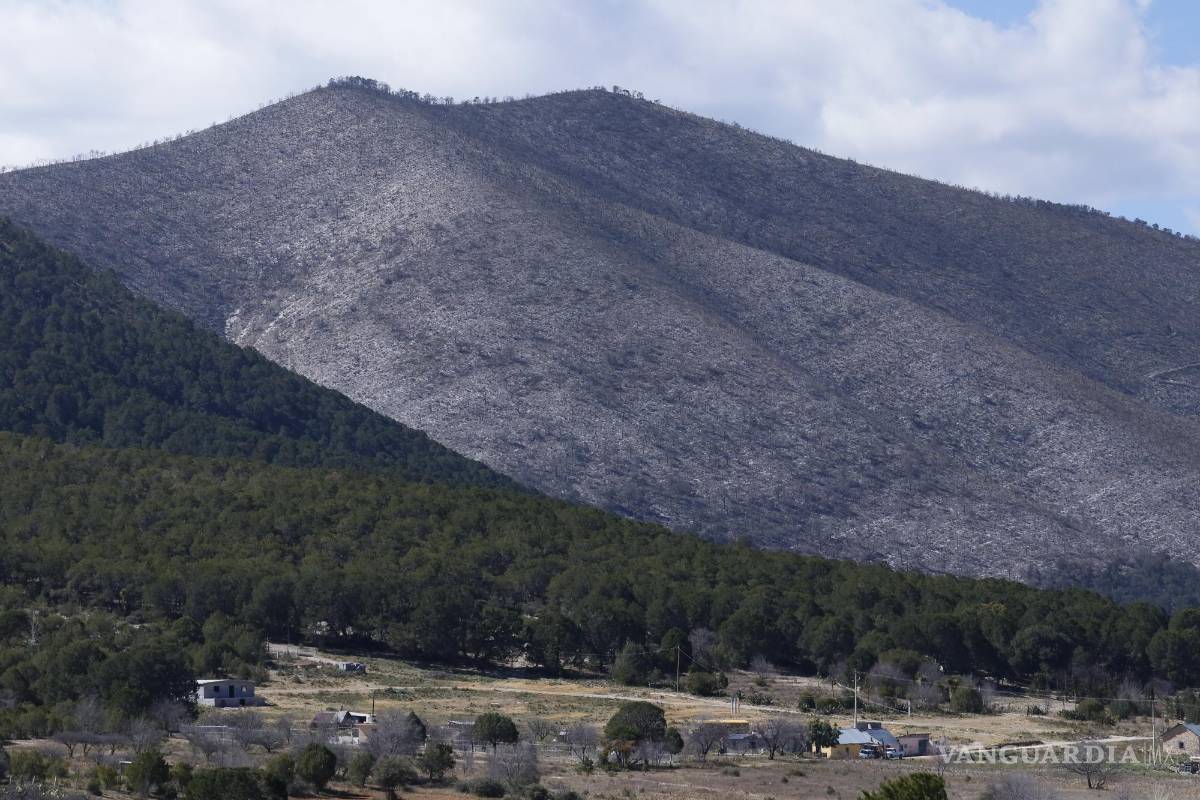 $!﻿La Sierra de Arteaga forma parte de un proyecto piloto de dispersión de semillas con el uso de dron, con el objetivo de reforestar la zona.