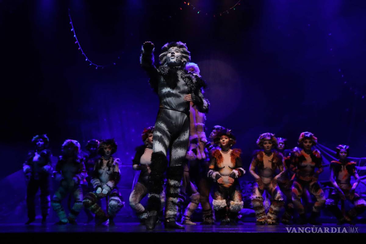 $!Cuarta Pared trajo la calidad de Broadway a Saltillo con ‘Cats’: Ya preparan producciones en CDMX