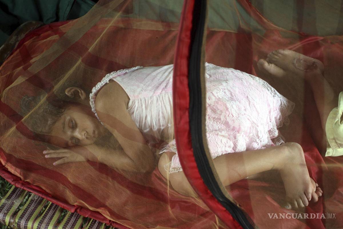 ¿Sabes cómo prevenir y tratar las picaduras de insectos?