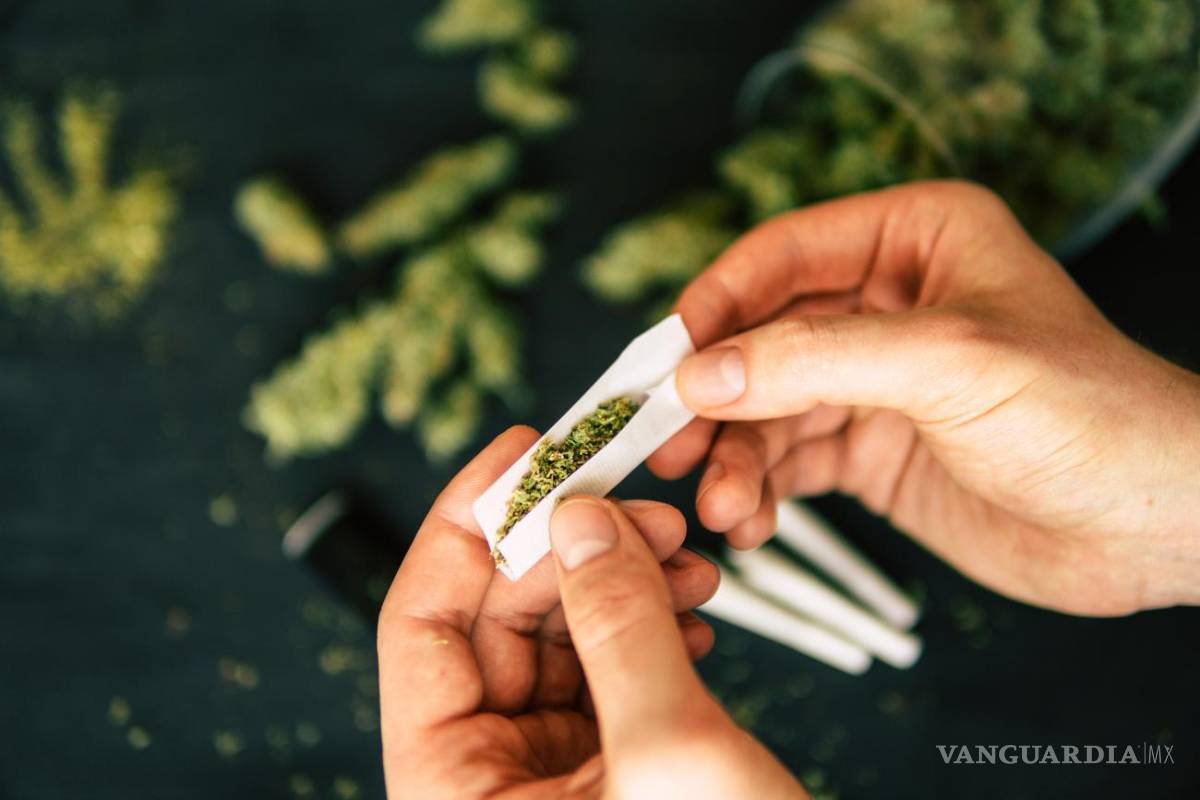 Mariguana; la droga preferida en primarias y secundarias de Piedras Negras