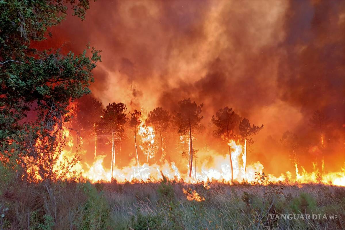 $!Esta foto proporcionada por el cuerpo de bomberos de la región de Gironde (SDIS 33) muestra un incendio forestal cerca de Landiras, en el suroeste de Francia.