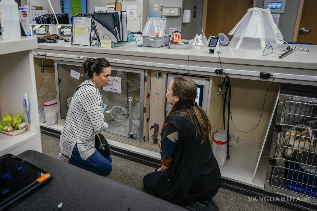 $!Maxwell es una trabajadora social veterinaria.