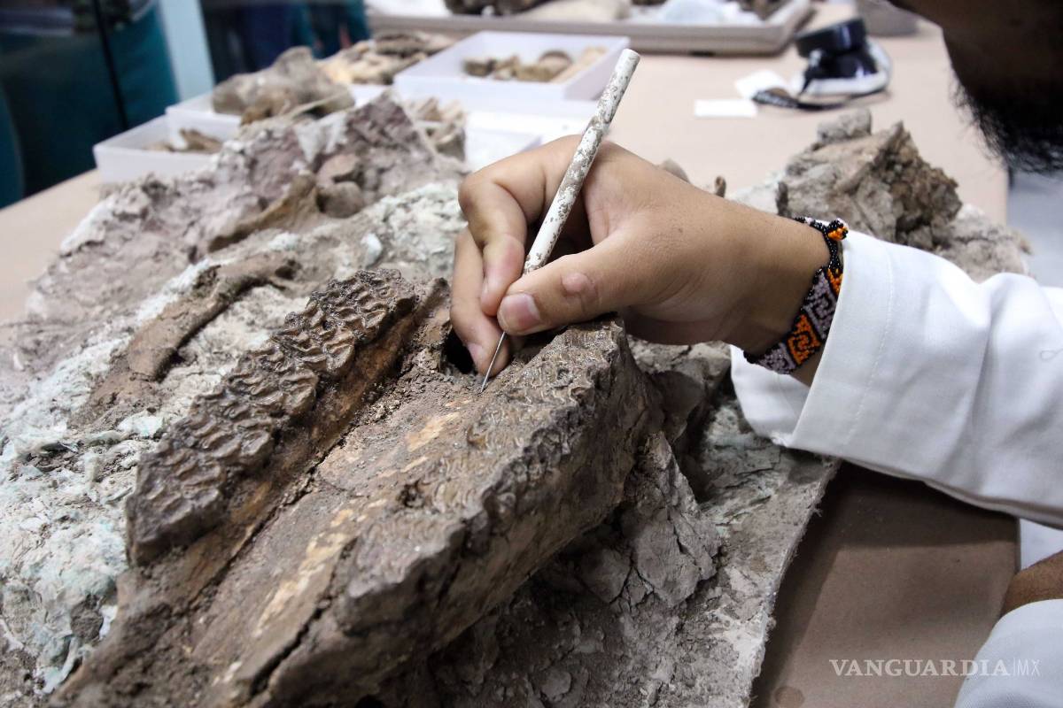 $!Museo del Desierto de Saltillo acerca a la gente a sus investigadores para que aprecien su trabajo en laboratorio