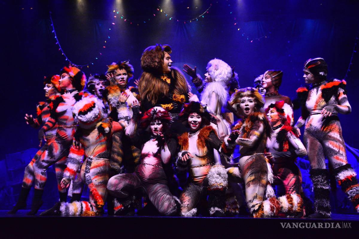 $!Cuarta Pared trajo la calidad de Broadway a Saltillo con ‘Cats’: Ya preparan producciones en CDMX