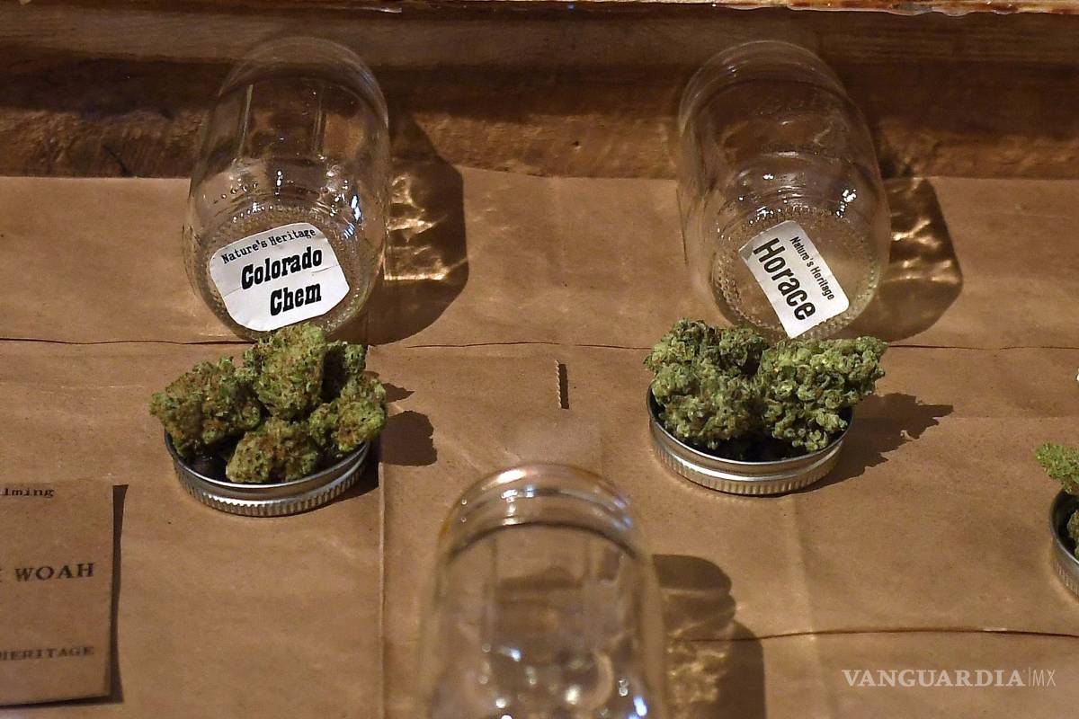 $!¿Por qué la pandemia impulsó a la industria del cannabis?