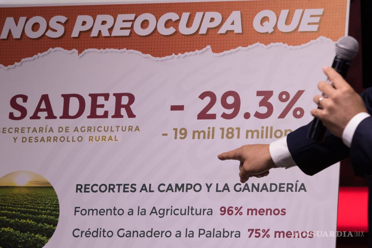 $!Gobierno deja a un lado seguridad y economía con 'recortes brutales' en Paquete Económico 2020: PRI