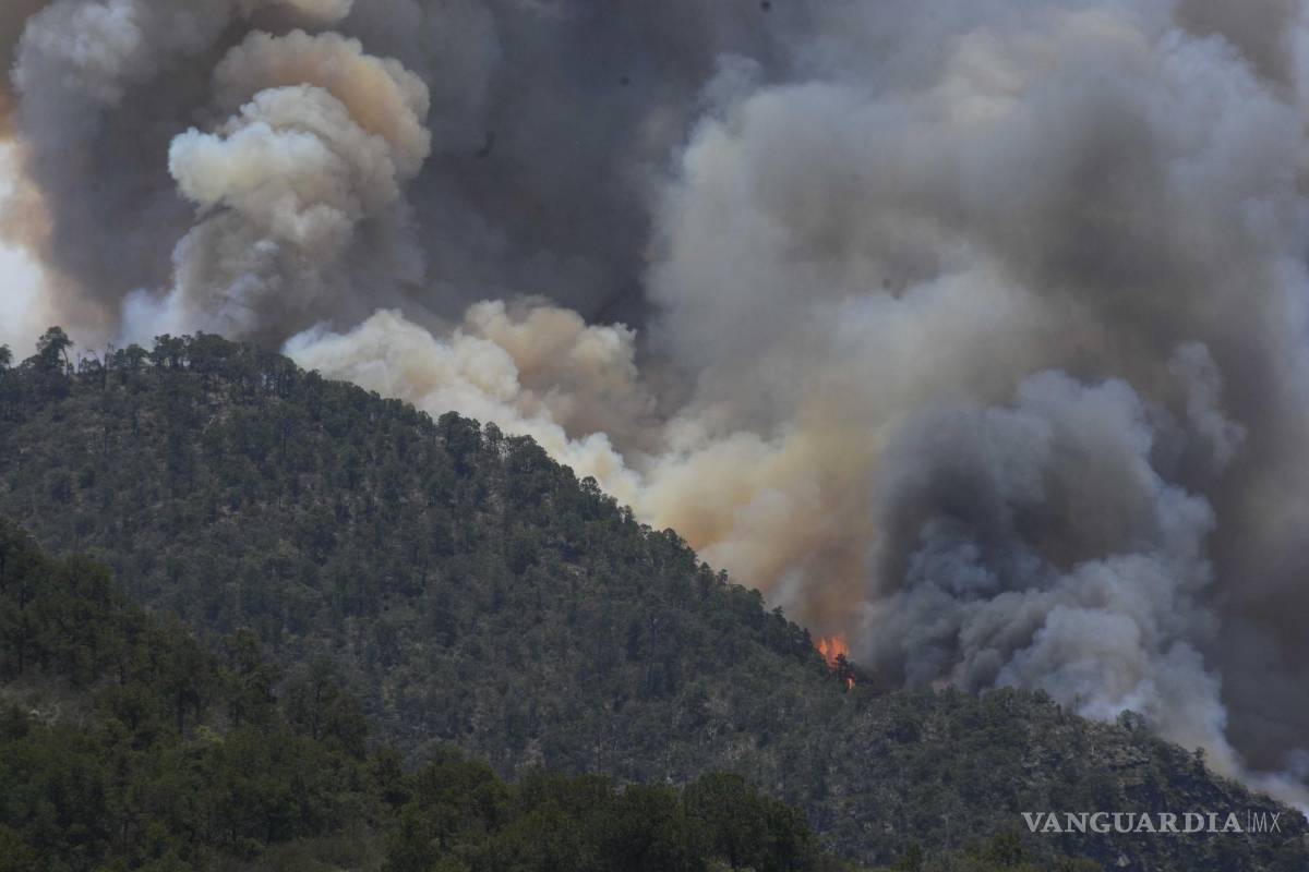 Batalla contra el fuego: Coahuila sofoca cuatro incendios forestales y continúa el combate en 8 más