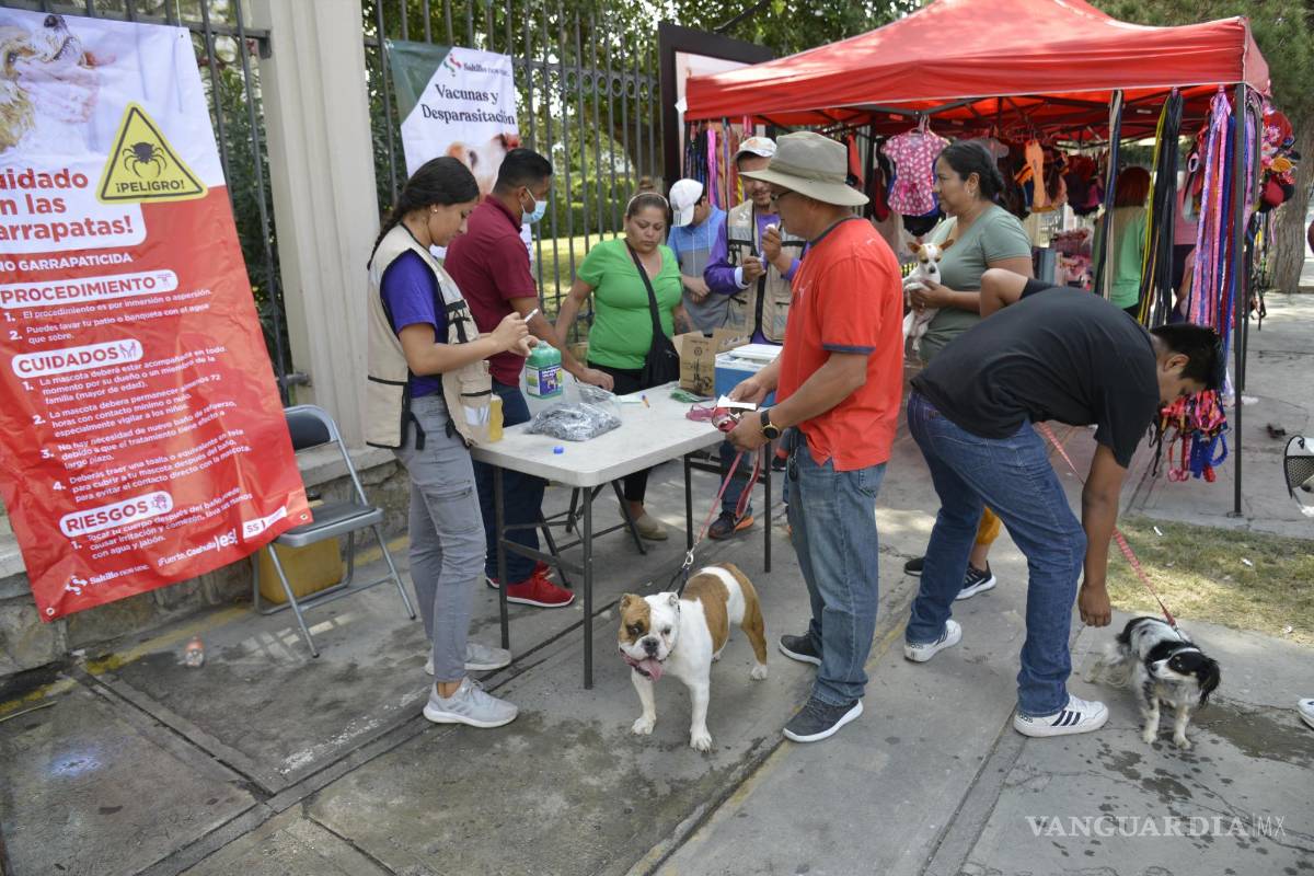 $!La campaña llegará a todas las colonias de Saltillo, incluyendo las del norte, donde se aplicará un baño con Byticol, un producto químico que elimina las garrapatas.