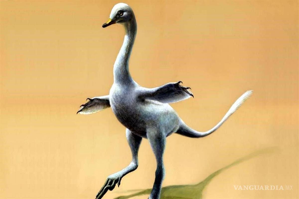 Hallan dinosaurio con rasgos de pato, cocodrilo y cisne