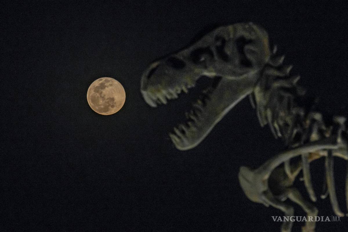 $!Imágenes de la luna llena, tomadas desde el cruce de LEA y Pérez Treviño, junto a la estatua de T-REX en ese lugar.