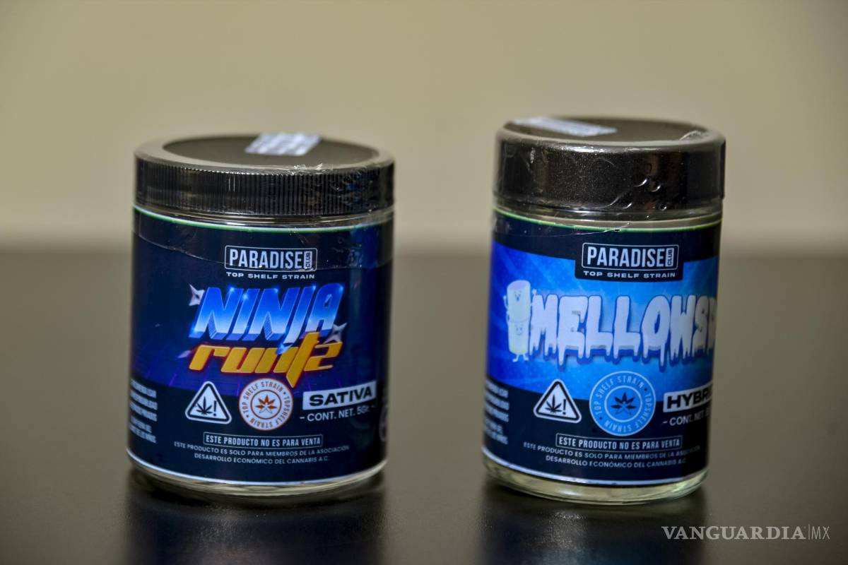 $!En la tienda-club de Paradise se pueden enc ontrar distintos tipos de productos con base en cannabis.