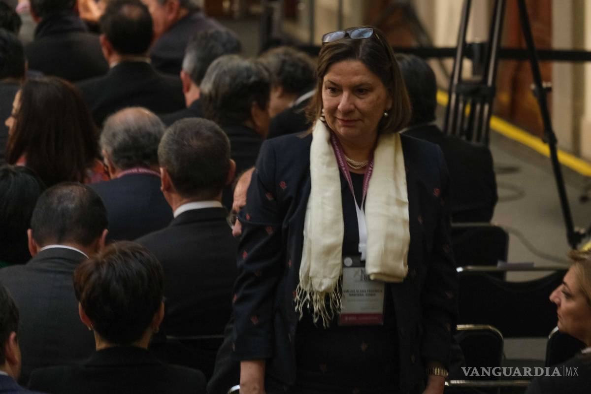 Embajadora ve inviable reforma migratoria en Estados Unidos