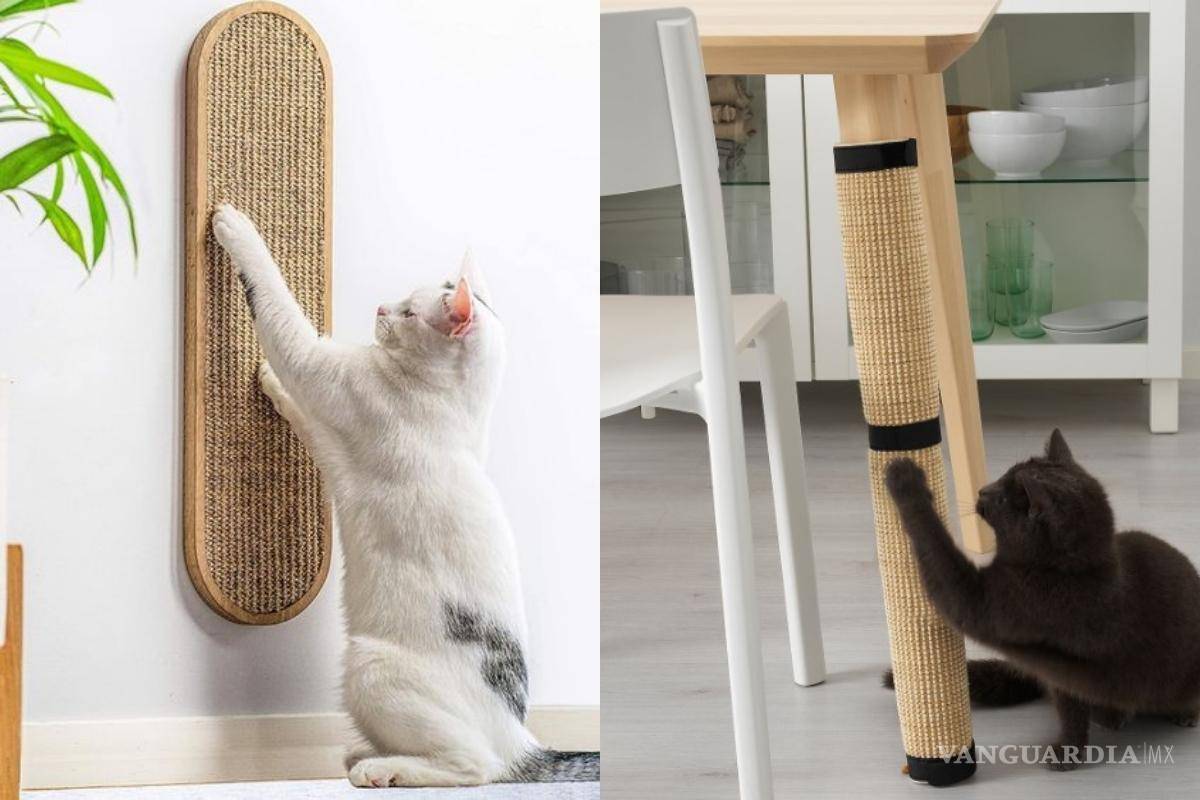 $!Los gatos necesitan un espacio para afilar sus garras.