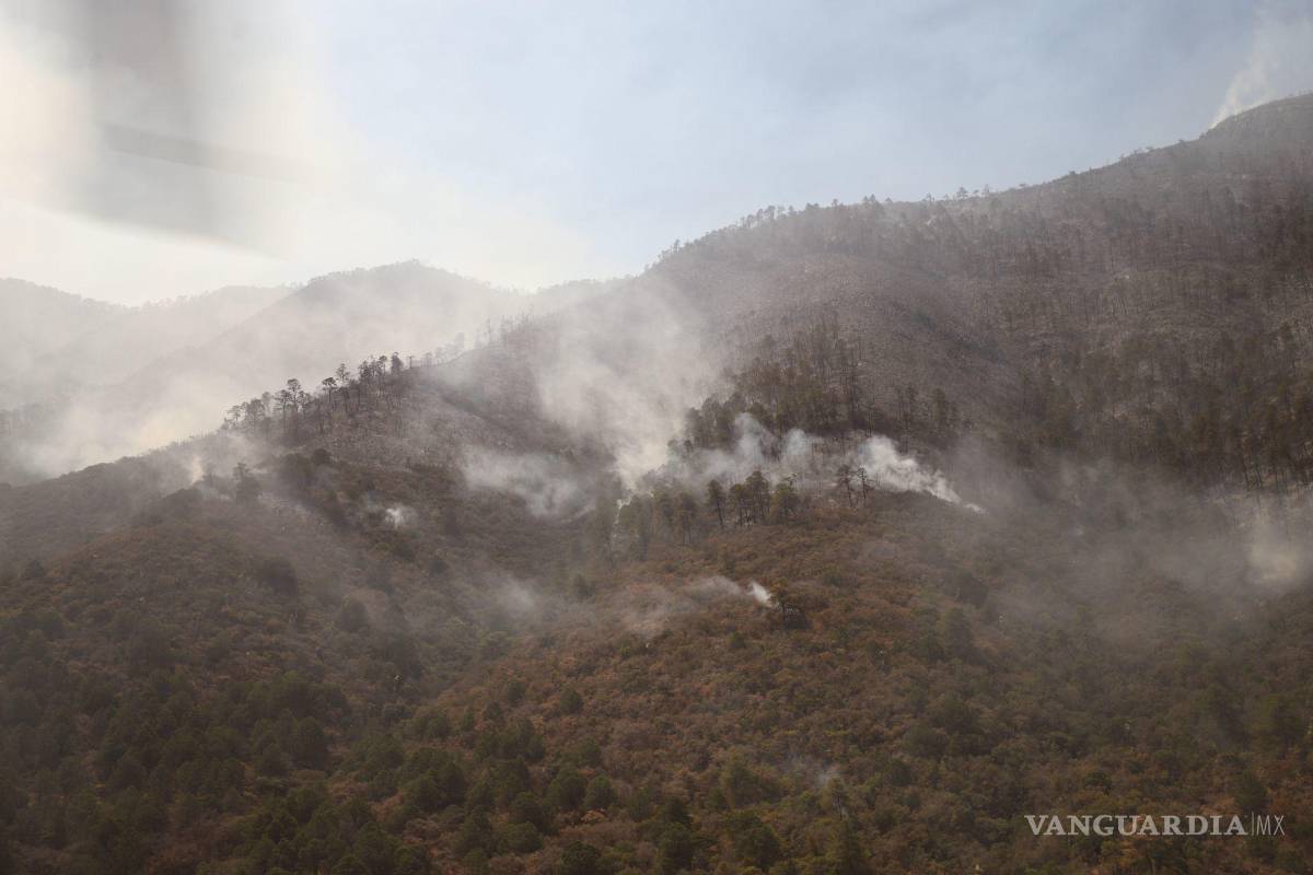 $!Saltillo, Coahuila 19 de mayo de 2022. Continúa el fuerte incendio en el cañón de San Lorenzo, en la Sierra de Zapaliname.