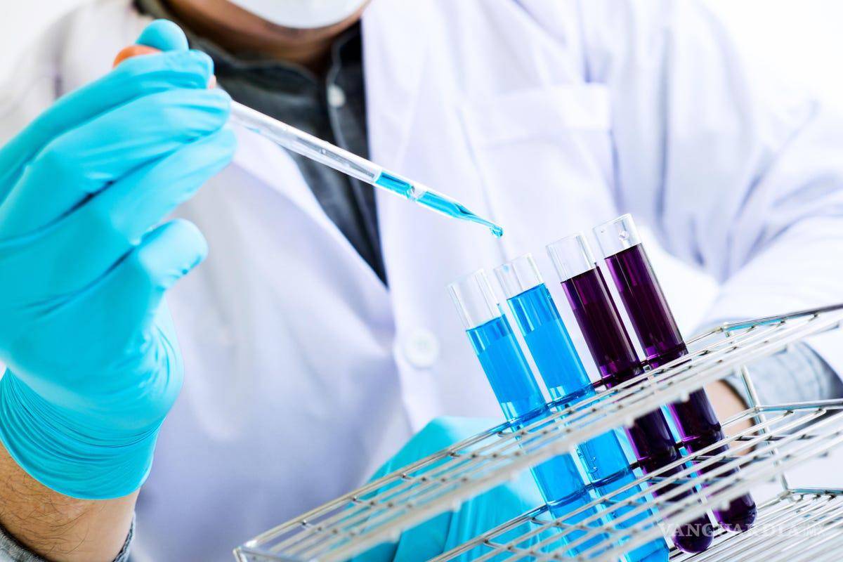 Donan tests de ADN gratuito para personas adoptadas en todo el mundo; la convocatoria cierra el 17 de marzo