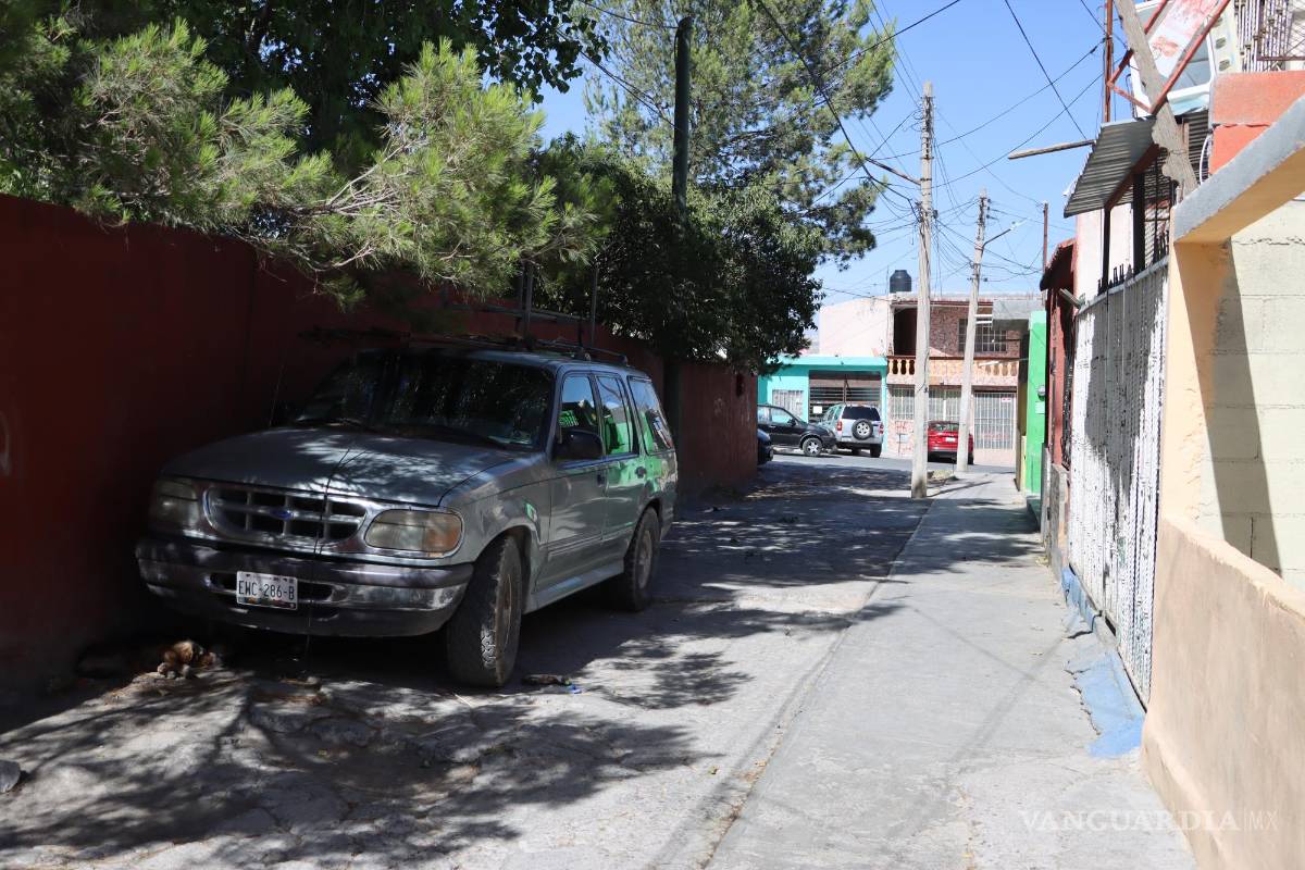 Suspenden clases en primaria de Saltillo por plaga de garrapatas, denuncian vecinos