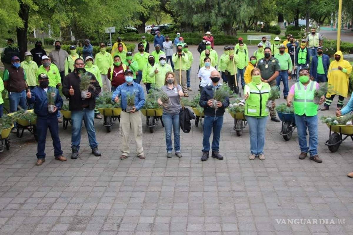 Avance agigantado de Saltillo en programa de mega reforestación