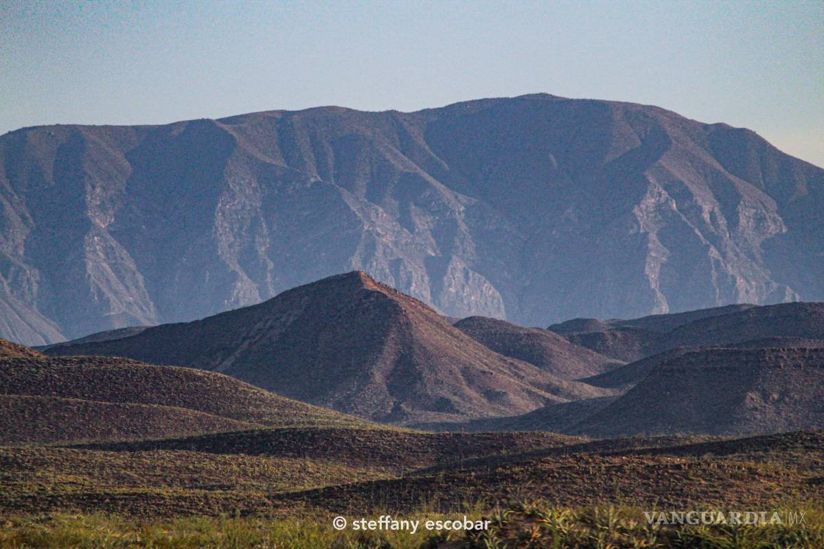 Desierto de Coahuila: opción para visitar en vacaciones de Semana Santa