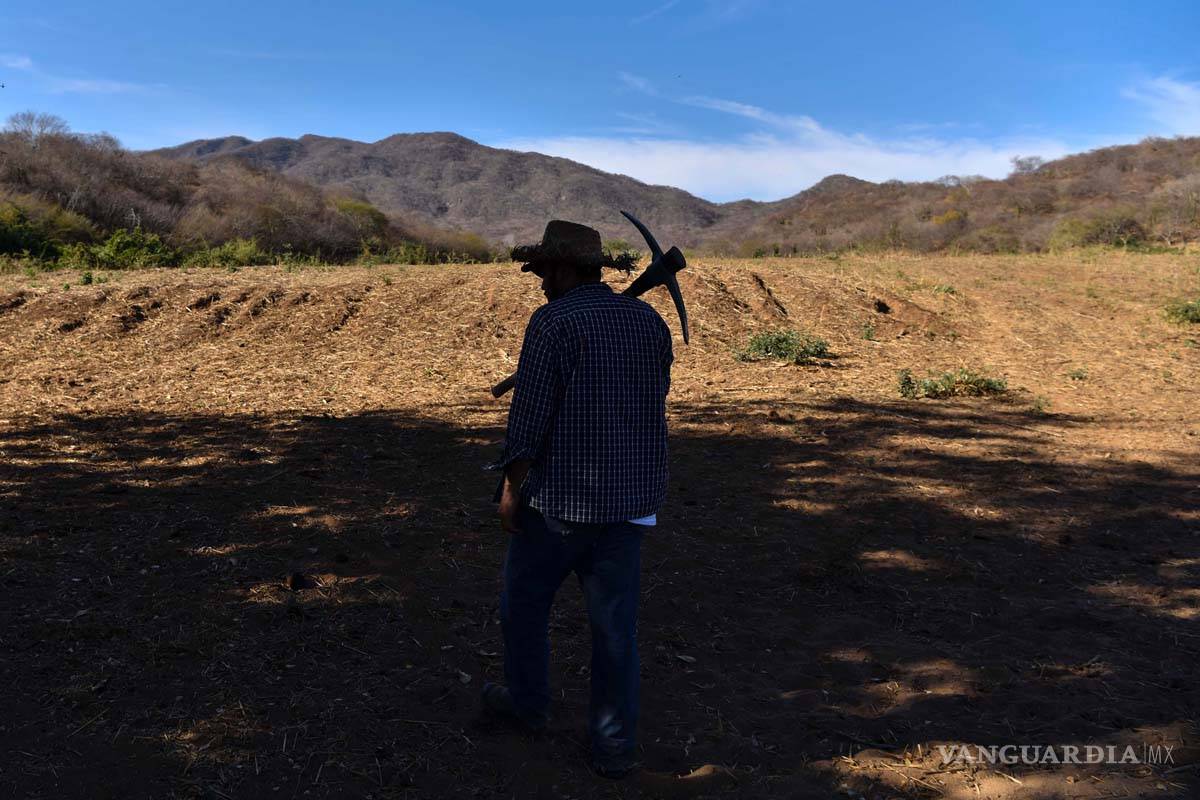 Localizan restos humanos de 31 cuerpos en fosa clandestina de Colima