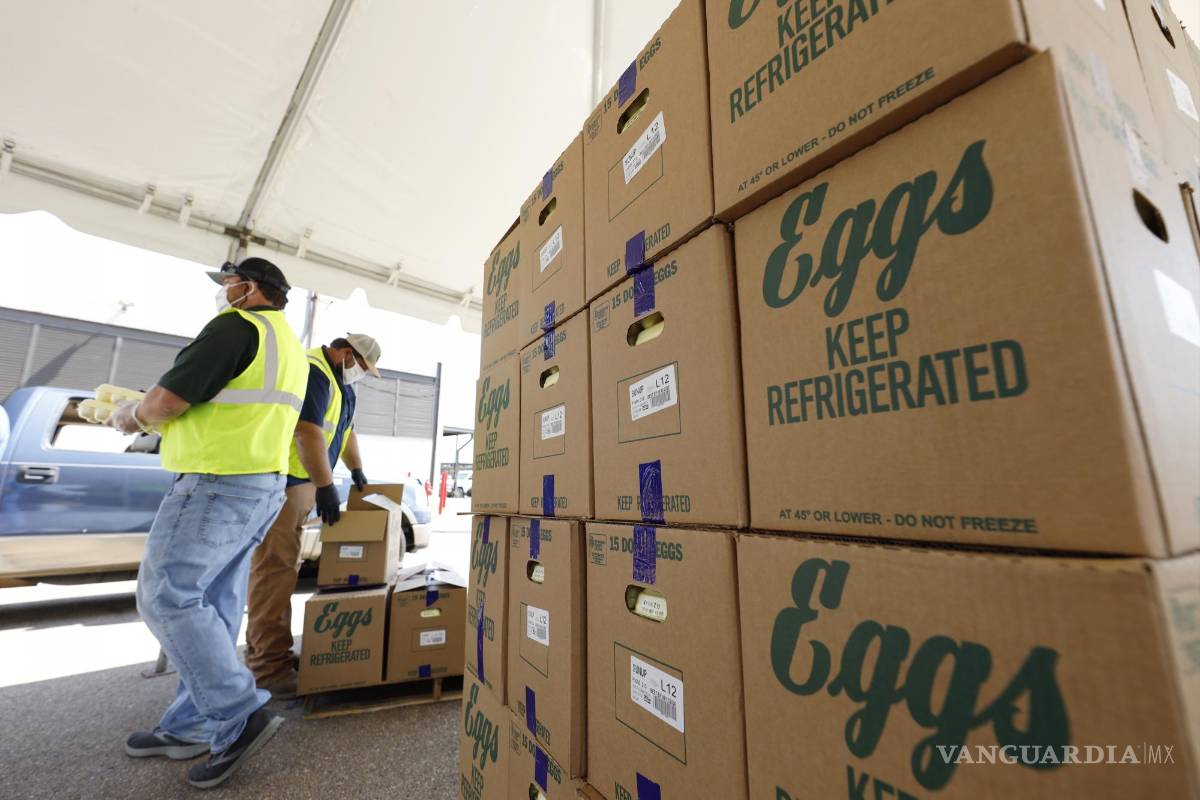 $!En al menos ocho entidades de Estados Unidos se han reportado casos de gripe aviar en las granjas.