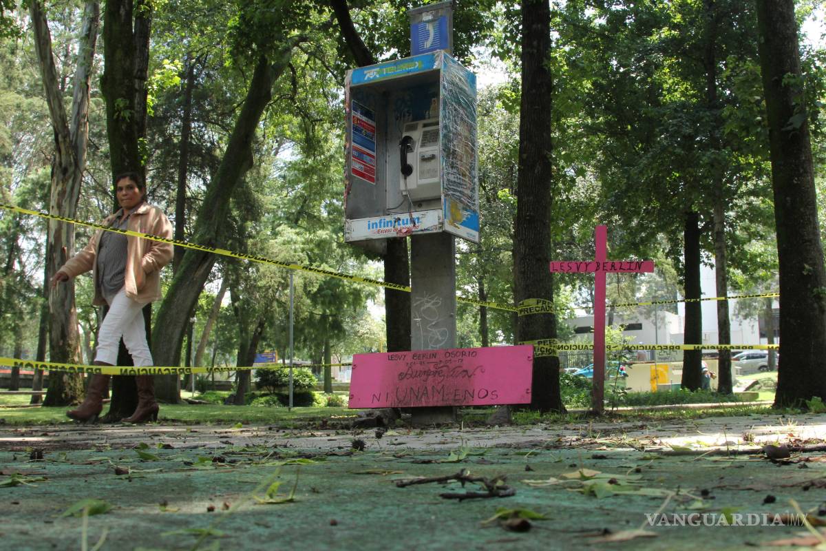 Muestran redes sociales el rostro del feminicidio, aseguran especialistas