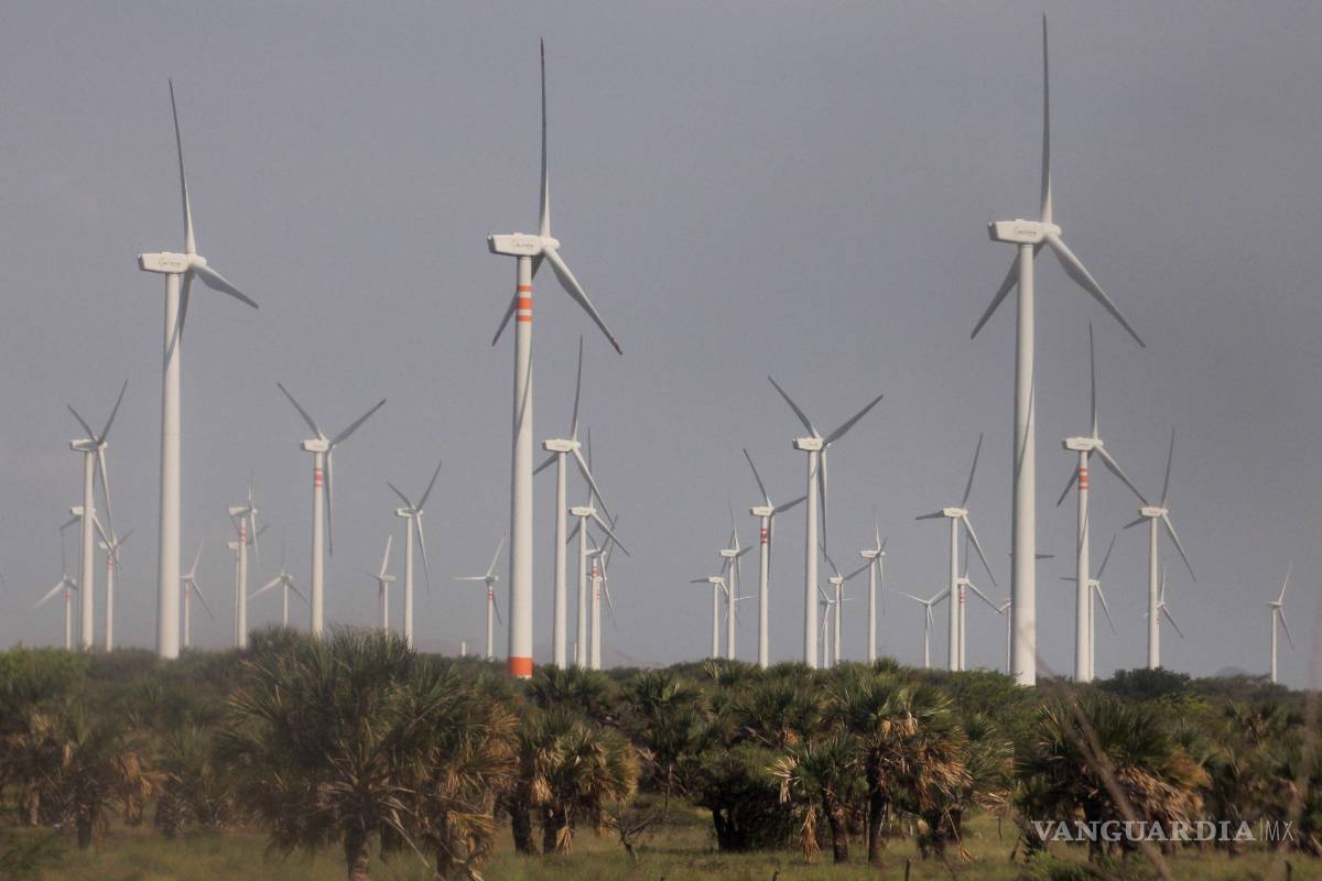 $!Incumple AMLO 8 de 9 promesas ambientales