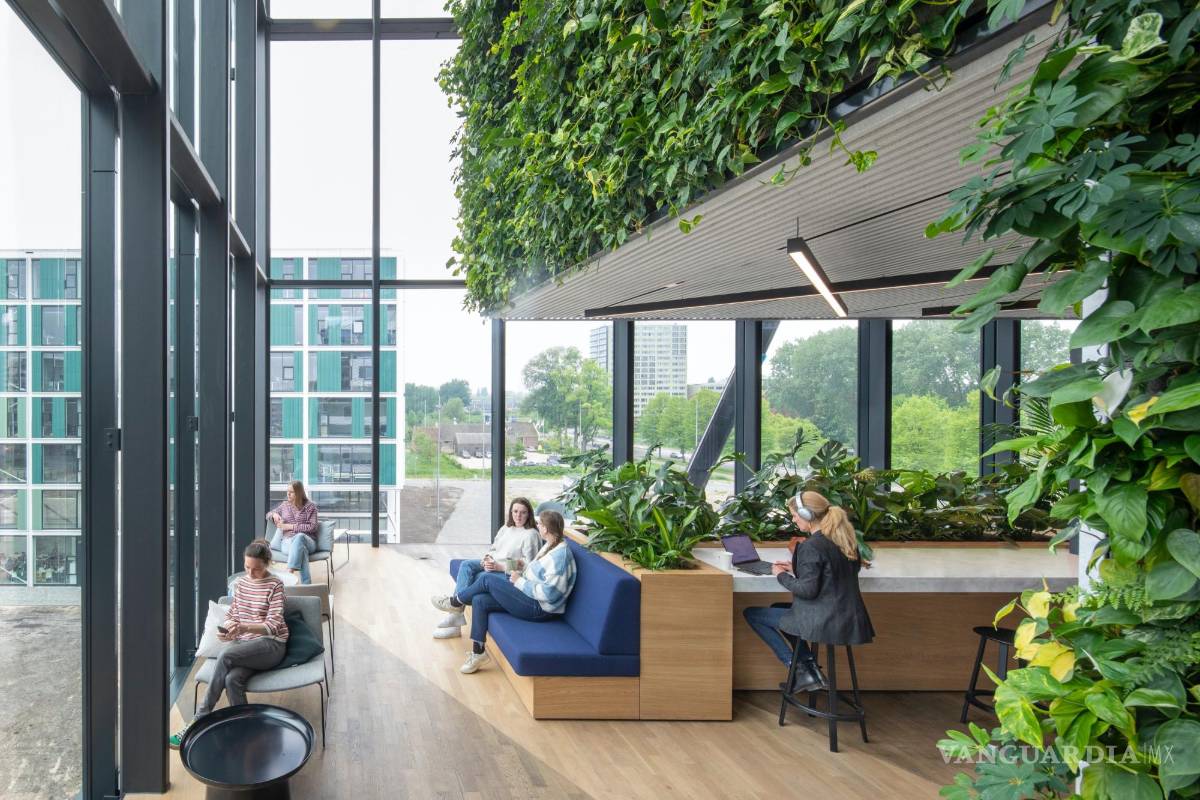 $!Matrix One aloja abundante vegetación natural.