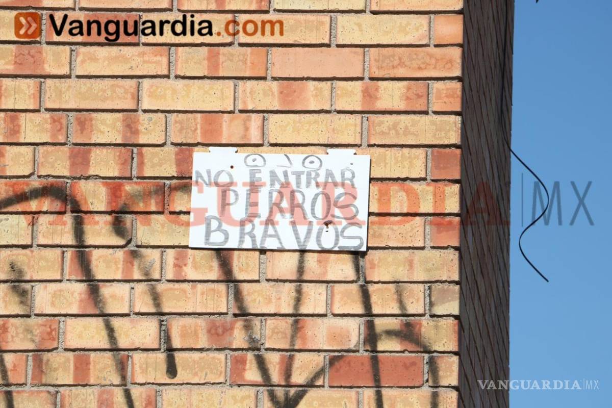 $!Vuelven a atacar 'perros asesinos' de Brisas, en Saltillo