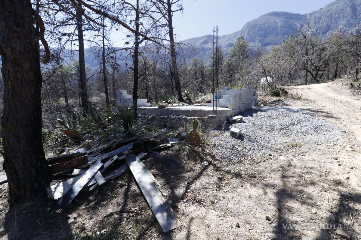 $!Restos de lo que alguna vez fue una cabaña se aprecian en el pueblo San Rafael. En total, hay 11 lotes carbonizados de 50 hectáreas cada uno.