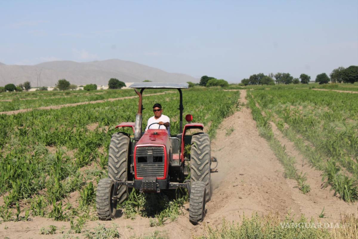 $!La sobreexplotación del acuífero en La Laguna que demanda la agroindustria, es la principal causa del fenómeno de subsidencia en la región.