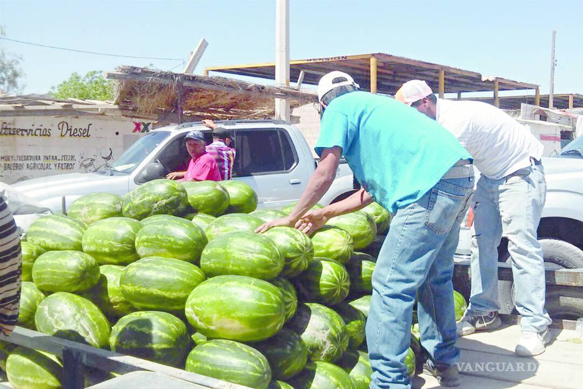 Cadenas compran a laguneros melón y sandía