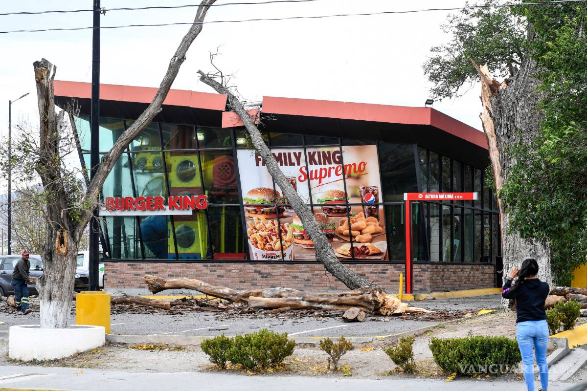 $!Sorprende ventarrón a Saltillo (fotos)