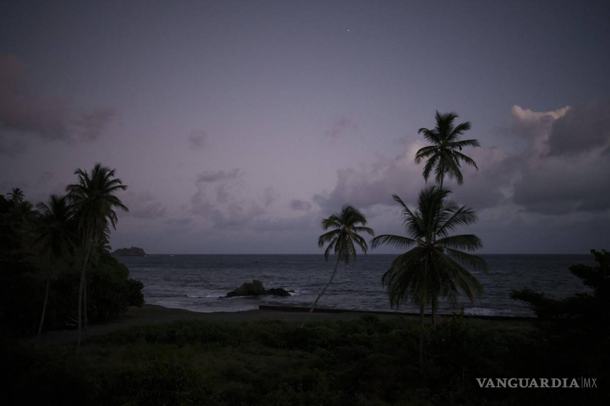 $!Palmeras en una playa en la isla caribeña de Tobago, en Trinidad y Tobago, el 21 de enero de 2022.